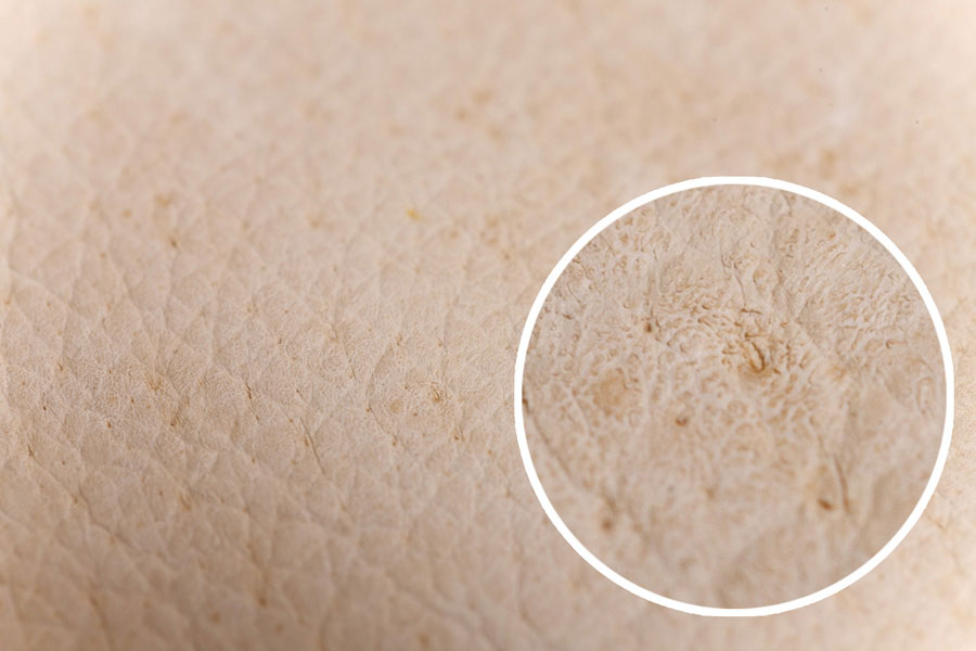 豚革は表面のシボと、よく見ると毛穴があいているのが特徴。